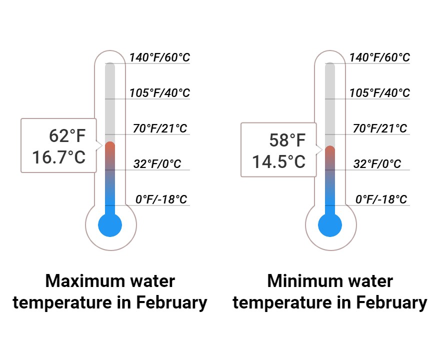 Average Sea temperature